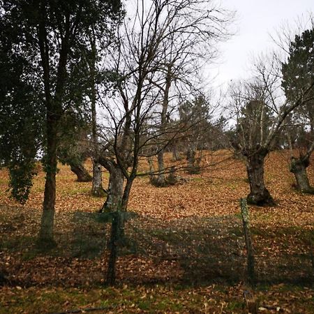 Valle Granado Fuenteheridos Exterior foto