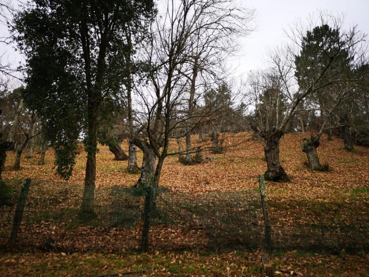 Valle Granado Fuenteheridos Exterior foto